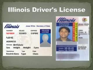 Illinois Driver's License