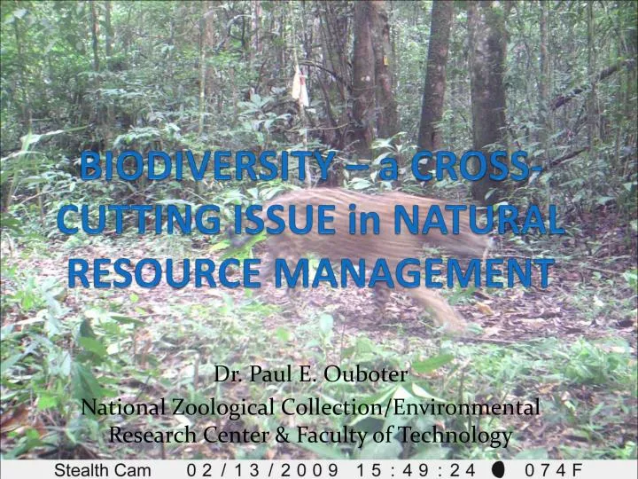 biodiversity a cross cutting issue in natural resource management
