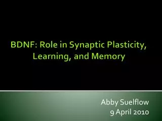 BDNF: Role in Synaptic Plasticity, Learning, and Memory