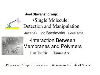 Single Molecule: Detection and Manipulation