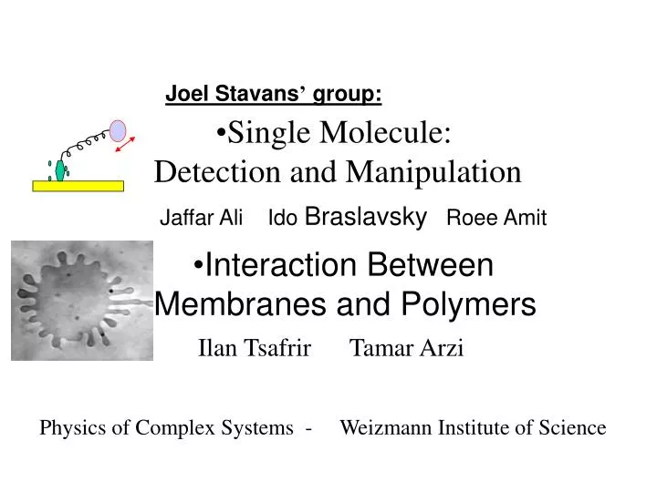 single molecule detection and manipulation