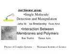 Single Molecule: Detection and Manipulation - slide 1