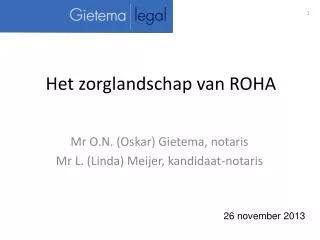het zorglandschap van roha