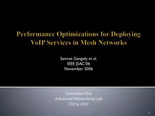 Performance Optimizations for Deploying VoIP Services in Mesh Networks