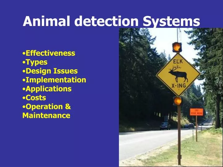 animal detection systems