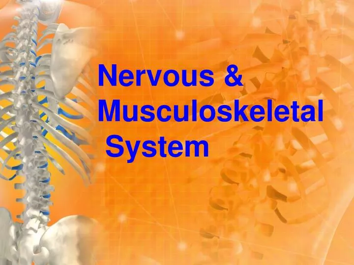 nervous musculoskeletal system