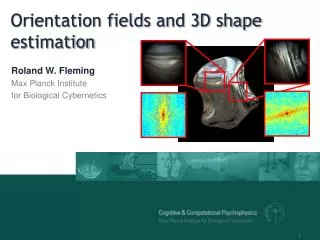 Orientation fields and 3D shape estimation
