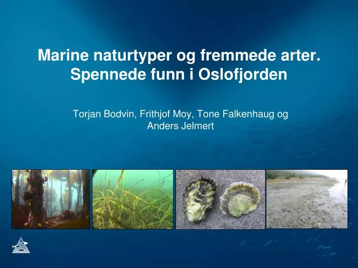 marine naturtyper og fremmede arter spennede funn i oslofjorden