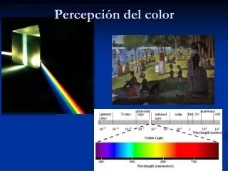 percepci n del color