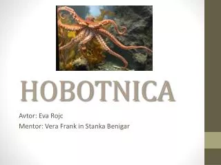 hobotnica