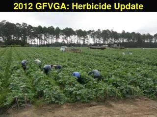2012 GFVGA: Herbicide Update