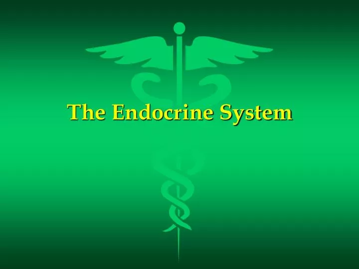 the endocrine system