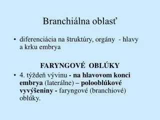 b ranchi lna oblas