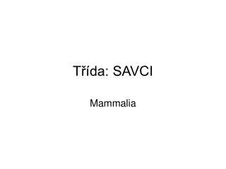 t da savci