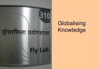 Globalising Knowledge