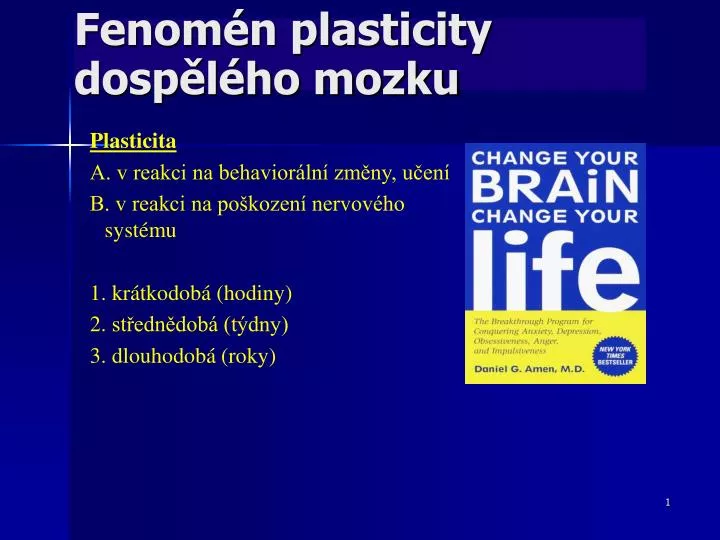 fenom n plasticity dosp l ho mozku