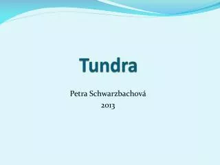 tundra