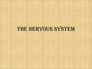 The Nervous System