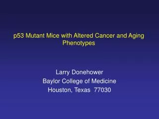 p53 Mutant Mice with Altered Cancer and Aging Phenotypes