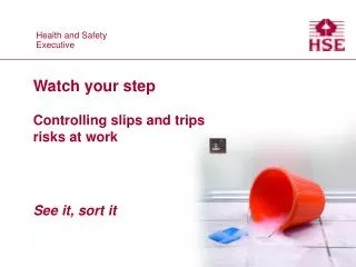 Watch your step Controlling slips and trips risks at work See it, sort it