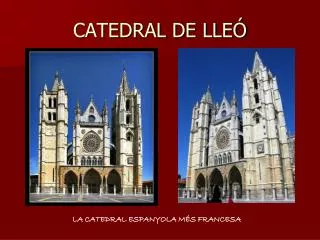catedral de lle