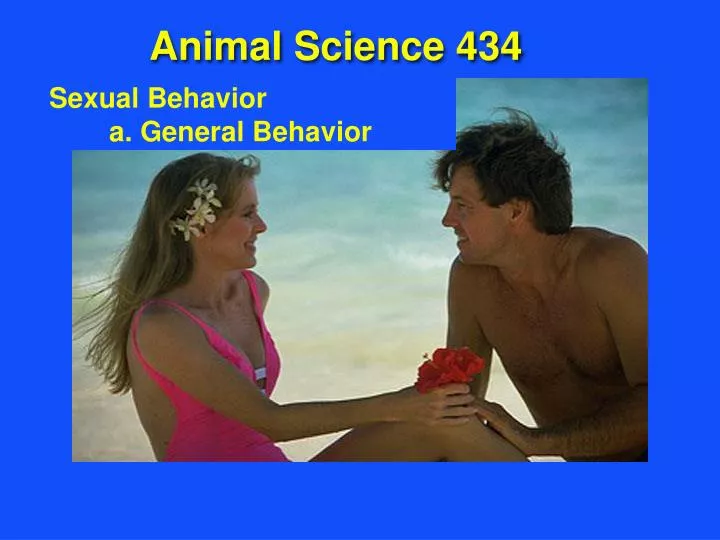 sexual behavior a general behavior