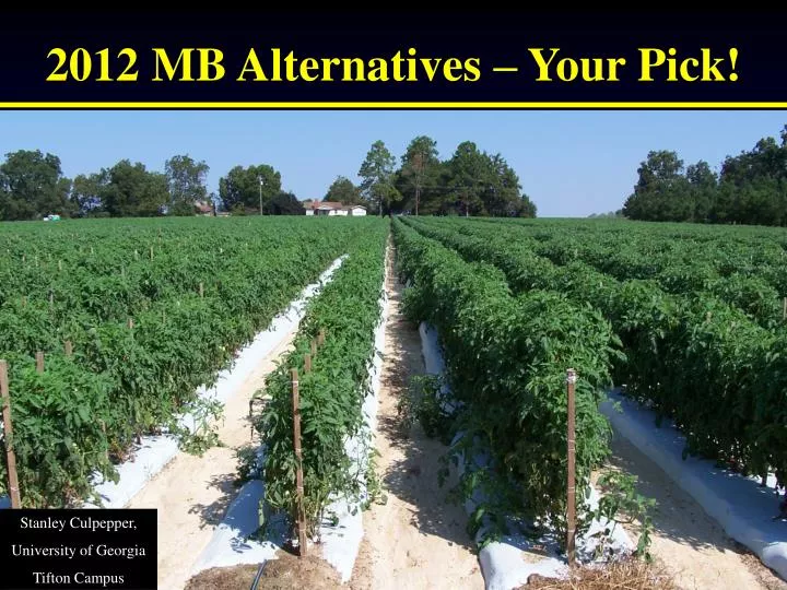 2012 mb alternatives your pick