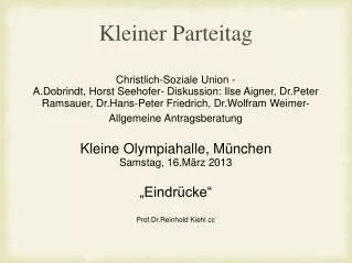 kleiner parteitag