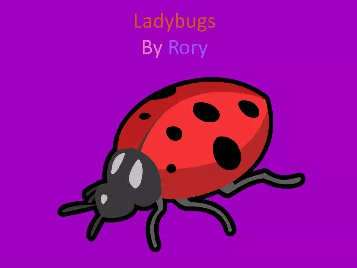 ladybugs by rory