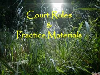 Court Rules &amp; Practice Materials