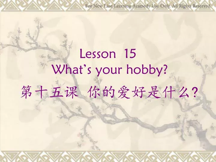 lesson 15 what s your hobby
