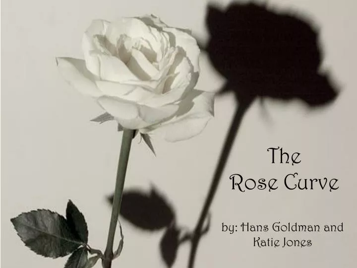 the rose curve