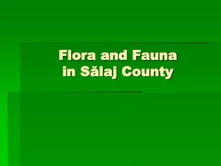 Flora and Fauna in S?laj County