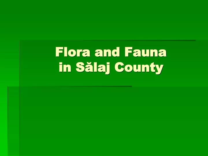 flora and fauna in s laj county