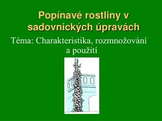 pop nav rostliny v sadovnick ch prav ch