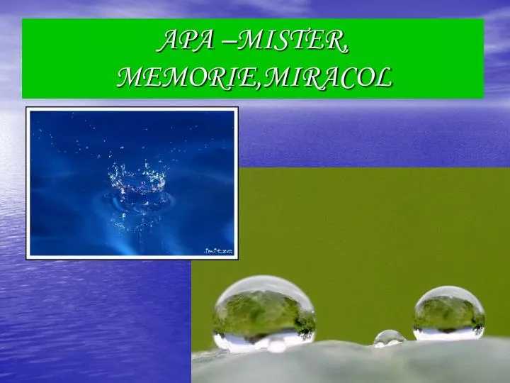 apa mister memorie miracol