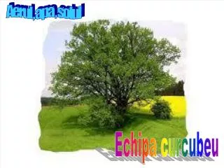 aerul solul apa