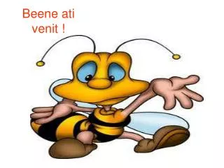 beene ati venit