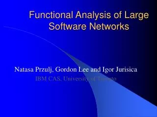Functional Analysis of Large Software Networks