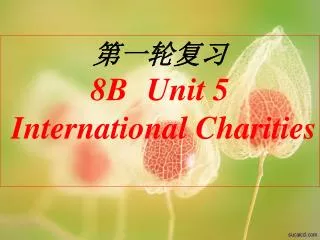 ????? 8B Unit 5 International Charities