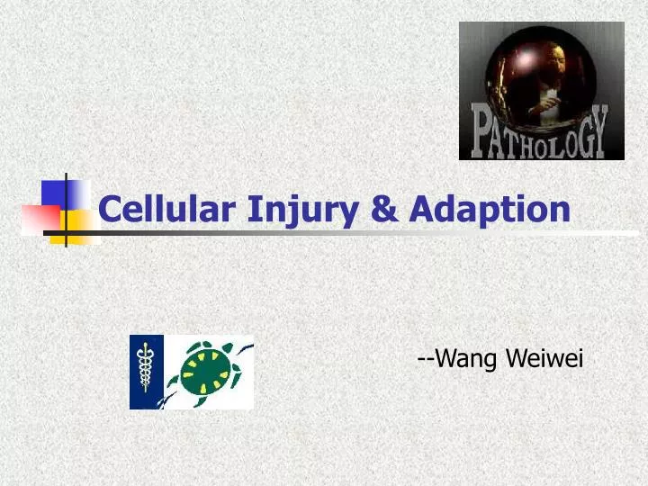 cellular injury adaption
