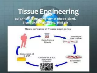 Tissue Engineering