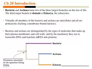 Ch 28 Introduction