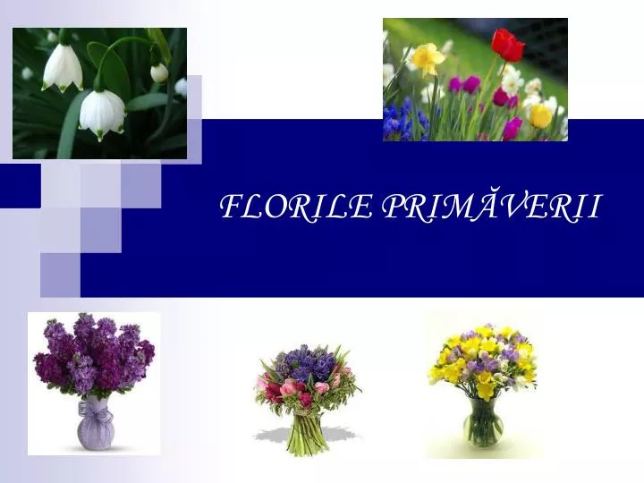 florile prim verii