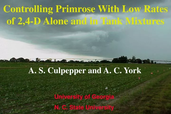 controlling primrose with low rates of 2 4 d alone and in tank mixtures