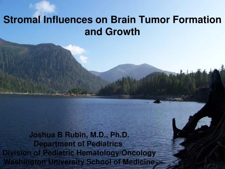 stromal influences on brain tumor formation and growth