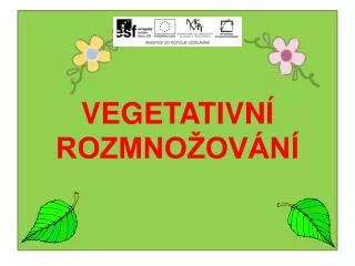 vegetativn rozmno ov n