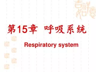 15 respiratory system