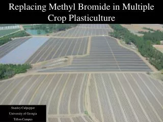 Replacing Methyl Bromide in Multiple Crop Plasticulture