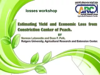 Estimating Yield and Economic Loss from Constriction Canker of Peach .